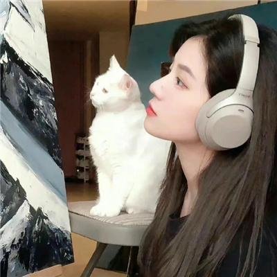 救虎记